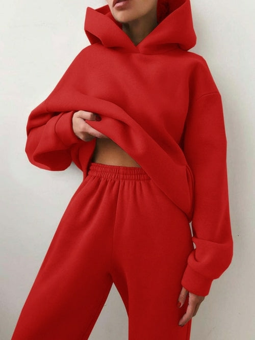 Hoodie Sweatshirt Sweat Pants Set