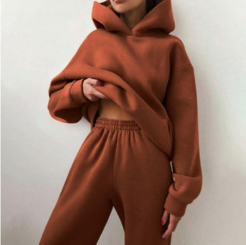 Hoodie Sweatshirt Sweat Pants Set